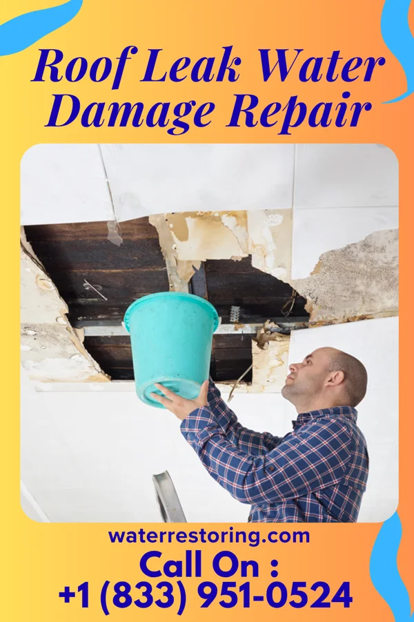 Roof Leak Water Damage Repair in Buhl, ID